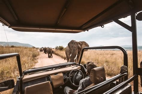 south africa safari trip cost